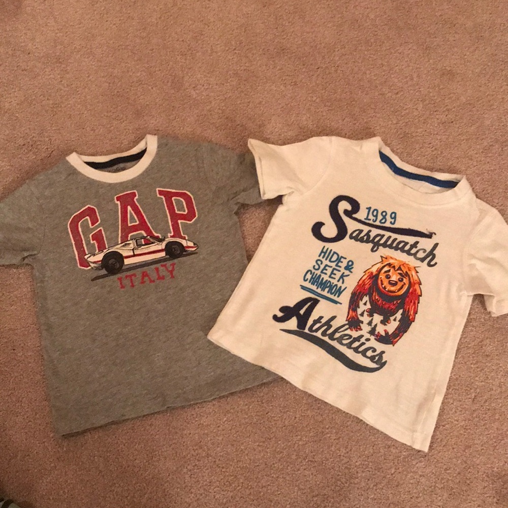 Set of Two Toddler T-shirts